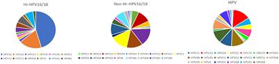 Roles of vaginal flora in human papillomavirus infection, virus persistence and clearance